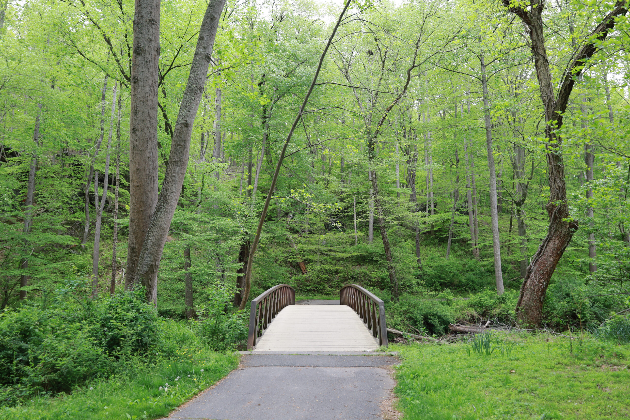 Aspen Hill (1) Ashton, MD
